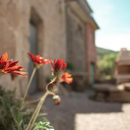 펜션 Casa Da Eira De Santo Amaro *