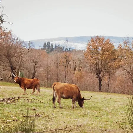 Casa Da Eira De Santo Amaro *