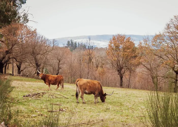 Casa Da Eira De Santo Amaro *